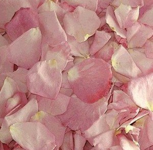 pink wedding rose petals