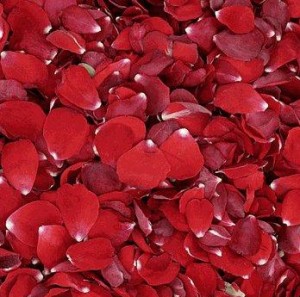red wedding rose petals