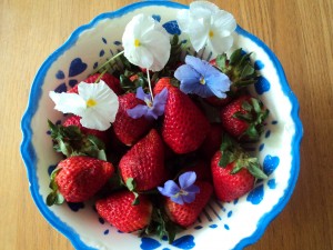 violets, pansies, strawberries